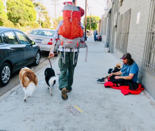 The Dogs Doing Community Service with the Homeless in Venice, CA.