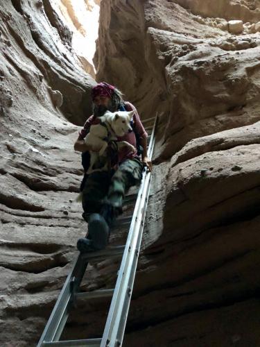 K-9 Kota being carried down a ladder by Hanndler, Jamison Burrell, in a slot canyon in Southern California.