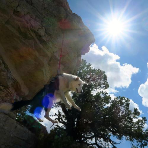 Kota repels off the North Rim of The Grand Canyon looking for a missing person on training day.